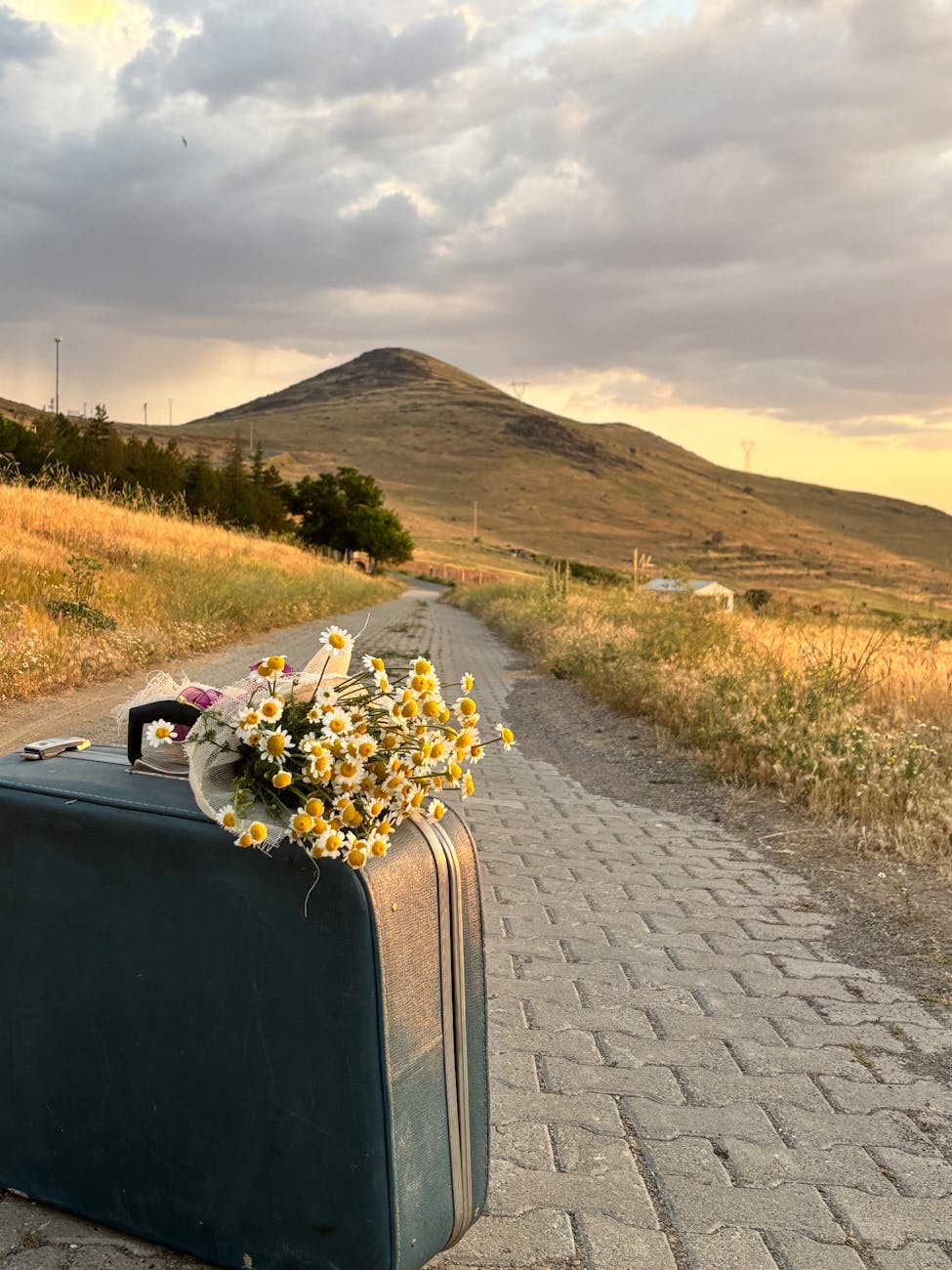 The Stone the Builders Rejected: A Resurrection in the Womb